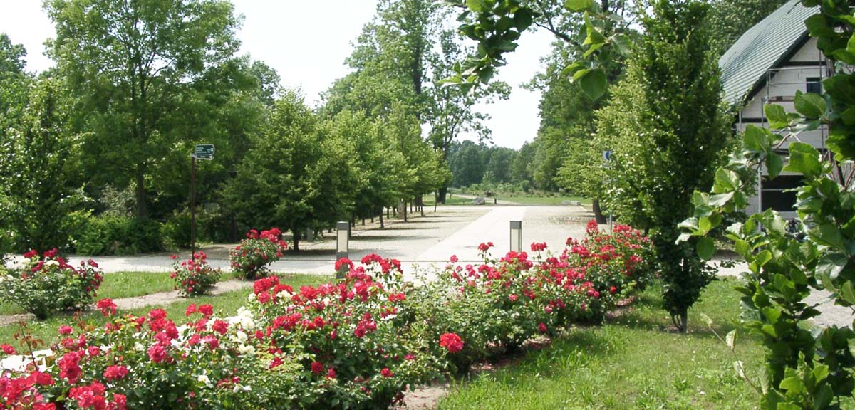 Erholungspark Burg, Spreewald